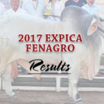 featured-2017-expica-fenagro