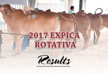 2017 Expica Rotativa