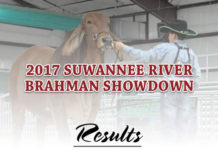 2017 Suwannee River Brahman Showdown