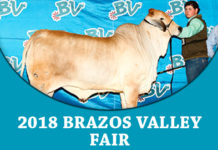 2018 Brazos Valley Fair & Expo