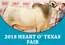 2018 Heart of Texas State Fair