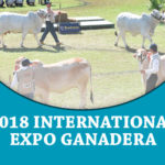 featured-2018-international-expo-ganadera