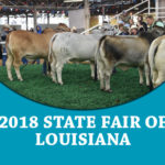 featured-2018-state-fair-louisiana