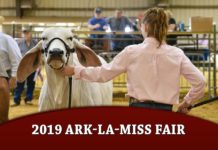 2019 Ark-La-Miss Fair