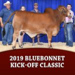 featured-2019-Bluebonnet