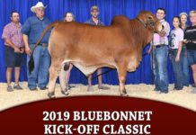 2019 Bluebonnet Kick-Off Classic