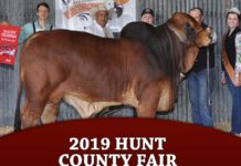 2019 Hunt County Fair