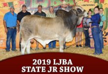 2019 Louisiana Junior Brahman Assoc. State Show