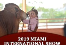 2019 Miami International Show