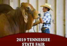 2019 Tennessee State Fair