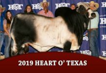 2019 Heart O’ Texas