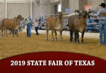 2019 State Fair Of Texas
