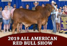 2019 All American – Red Bull Show