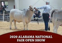 2020 Alabama National Fair Open Show