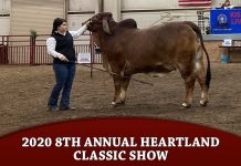 2020 8th Annual Heartland Classic Show