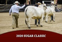 2020 Sugar Classic