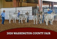 2020 Washington County Fair