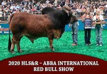 2020 HLS&R – ABBA International Red Bull Show