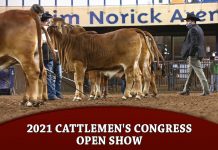 2021 Cattlemen’s Congress Open Show