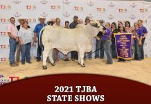 2021 TJBA State Shows