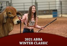 2021 ABBA Winter Classic
