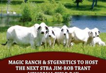 Magic Ranch & STgenetics to host the next STBA Jim-Bob Trant Memorial Field Day