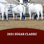 featured-2021-sugar-classic