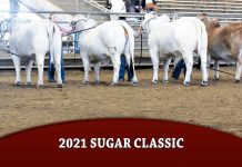 2021 Sugar Classic