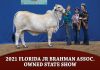 2021 Florida Jr Brahman Assoc. Owned State Show