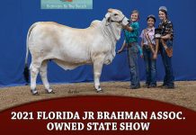 2021 Florida Jr Brahman Assoc. Owned State Show