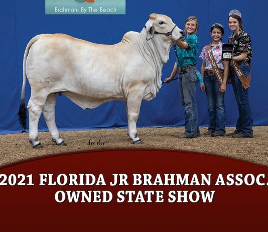 2021 Florida Jr Brahman Assoc. Owned State Show