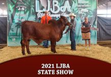 2021 LJBA Owned State Show