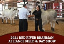 2021 Red River Brahman Alliance Field & Day Show