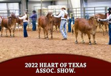 2022 Heart of Texas Assoc. Show.