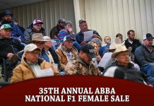 35th Annual ABBA National F1 Female Sale