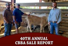 40th Annual CBBA Sale Report