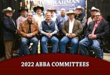 2022 ABBA Committees