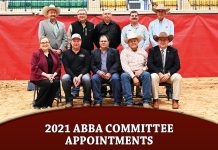2021 ABBA Committee Appointments