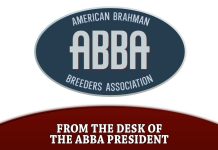 From the Desk of the ABBA President