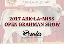 2017 Ark La Miss Open Brahman Show featured-Ark-La-Mis-Open-Show-2017