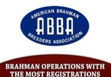 2023 Brahman Operations with the Most Polled Registrations