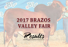 2017 Brazos Valley Fair & Expo