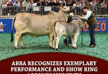 ABBA recognizes Exemplary Performance and Show Ring Accomplishments