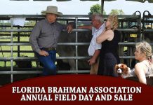 Florida Brahman Association Annual Field Day and Sale