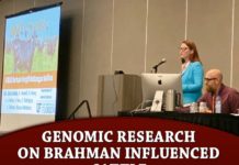 Genomic Research On Brahman Influenced Cattle Presented During The Plant And Animal Genome Conference