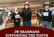 JW Brahmans – Supporting the Youth