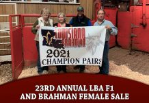 23rd Annual LBA F1 and Brahman Female Sale