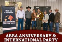 ABBA Anniversary & International Party