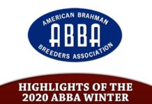 Highlights Of The 2020 ABBA Winter Meetings
