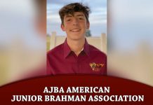 AJBA American Junior Brahman Association
